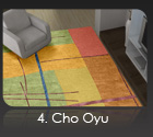 4. Cho Oyu